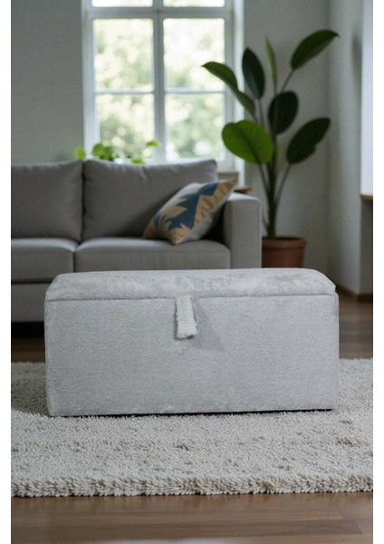 Dikdörtgen Sandık – Geniş Saklama Alanlı, Modern Dekoratif Sandık modelleri