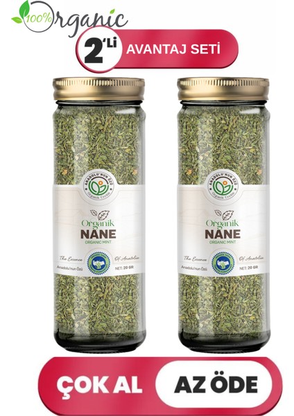Organik Nane 2'li Avantaj Seti