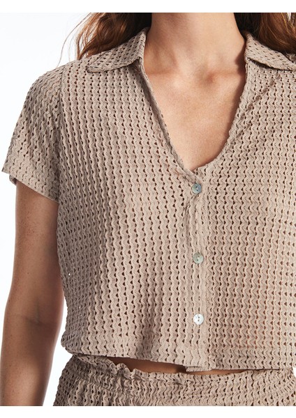 Yeni Sezon Polo Yaka Ajurlu Kısa Kollu Kadın Plaj Bluz modelleri