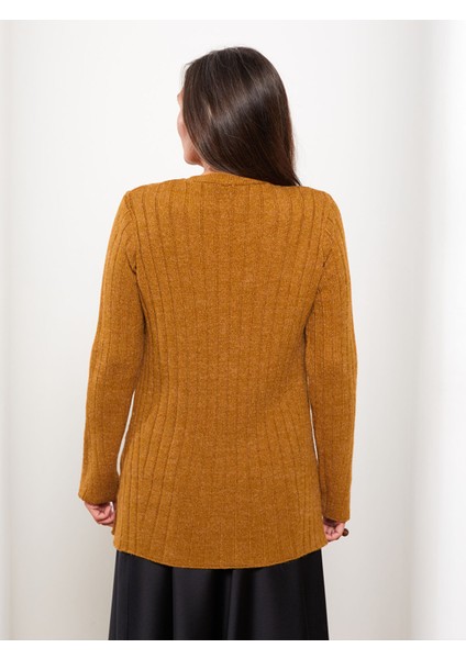 Yeni Sezon Bisiklet Yaka Kendinden Desenli Uzun Kollu Kadın Triko Kazak indirimleri