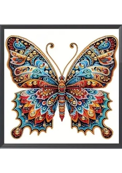 5 D Elmas Boyama Seti 30X30 cm Tablo