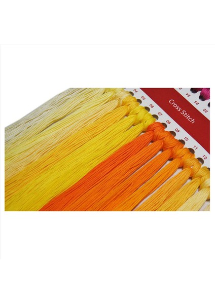 2x Dıy El Örme Baskı Çapraz Dikiş Seti Nakış Seti 11CT Küçük Şeref Bisiklet Ayçiçeği Deseni 26 x 21CM (Yurt Dışından) modelleri