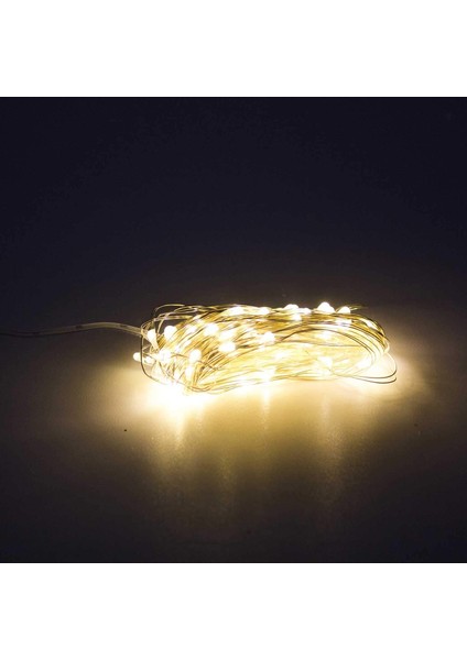 Flora Pilli Yılbaşı Işığı (100'LÜ 10 M Gün Işığı)