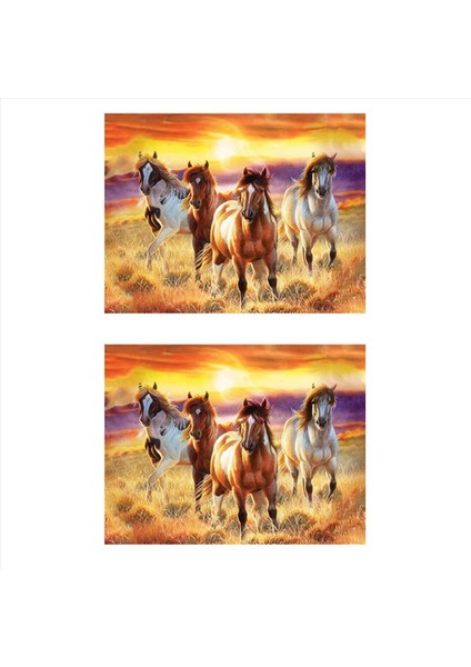 2x Tam Matkap Kare Elmas Diy Elmas Boya Atı Elmas Nakış Çapraz Dikiş Rhinestone Çalıştır (Yurt Dışından)