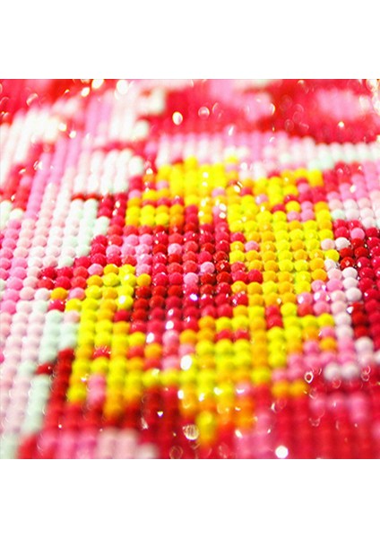 2x Tam Matkap Kare Elmas Diy Elmas Boya Atı Elmas Nakış Çapraz Dikiş Rhinestone Çalıştır (Yurt Dışından) modelleri