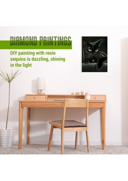 Hayvan Siyah Kedi Elmas Boya Yuvarlak Elmas Nakış Sanatı Elmas Diy El Işçiliği Sevimli Evcil Hayvan Bulmaca (Yurt Dışından) indirimleri