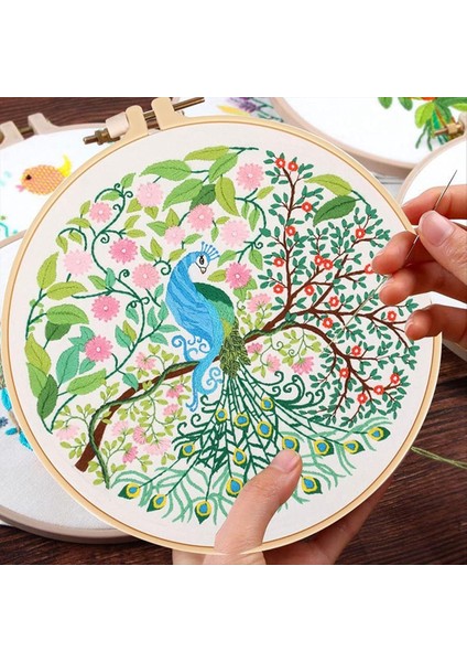 4 Set Dıy Nakış Kiti Yeni Başlayanlar Için Yetişkinler El Nakış Kiti Kuş Çember Renk Dişleri Araçlar Içerir (Yurt Dışından) modelleri