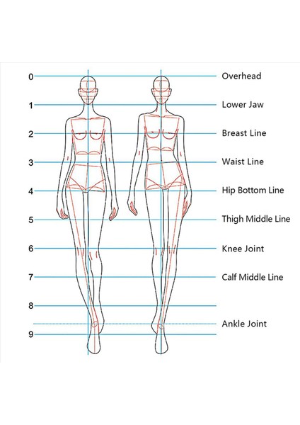2x Moda Illüstrasyon Yöneticileri Çizim Şablonları Cetvel Dikiş Insansı Desenler Tasarım Giysileri Ölçüm Kombinasyon (Yurt Dışından) fırsatları