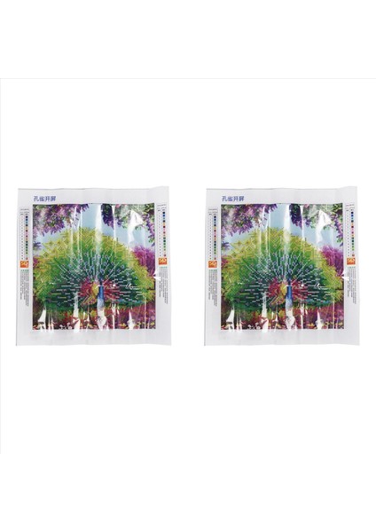 2x Dıy 5d Boyama Çapraz Iğne Nakış Tavuskuşu Zenginlik ve Iyi Flikat Boyama Dekor 35X35CM (Yurt Dışından)
