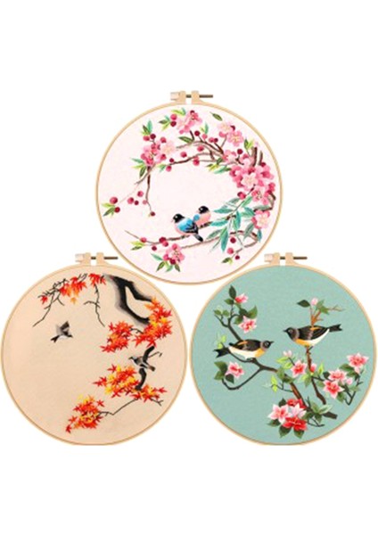 3 Set Yeni Başlayanlar Için Dıy Nakış Kiti Yetişkinler Tatil Kedisi Çember Renk Dişleri Araçlar Içerir (Yurt Dışından)