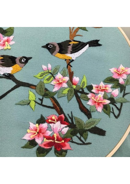 3 Set Yeni Başlayanlar Için Dıy Nakış Kiti Yetişkinler Tatil Kedisi Çember Renk Dişleri Araçlar Içerir (Yurt Dışından) modelleri