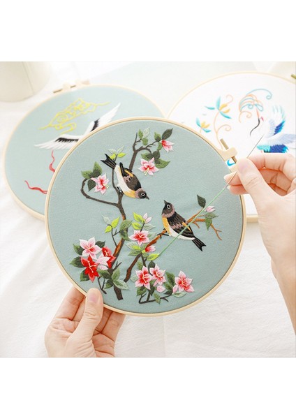 3 Set Yeni Başlayanlar Için Dıy Nakış Kiti Yetişkinler Tatil Kedisi Çember Renk Dişleri Araçlar Içerir (Yurt Dışından) fırsatları