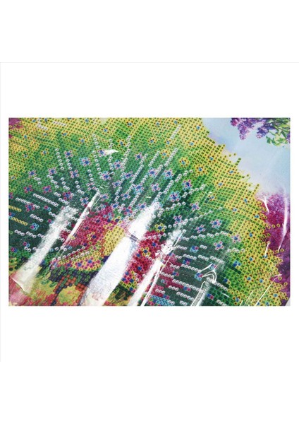 2x Dıy 5d Boyama Çapraz Iğne Nakış Tavuskuşu Zenginlik ve Iyi Flikat Boyama Dekor 35X35CM (Yurt Dışından) indirimleri