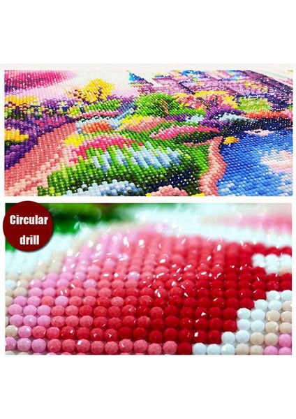 Elmas Boyama Kiti Diy Kristalleri Elmas Rhinestone Boyama Yapıştırılmış Boya Sayı Kitleri Çapraz Dikiş Nakış Kaplanı (Yurt Dışından) fiyatları