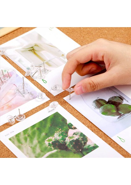 100 Adet Temiz Itme Iğneleri Küçük Plastik Başparmak Çelik Çelik Nokta ve Berrak Plastik Kafa Pushpins Tahtası (Yurt Dışından) modelleri