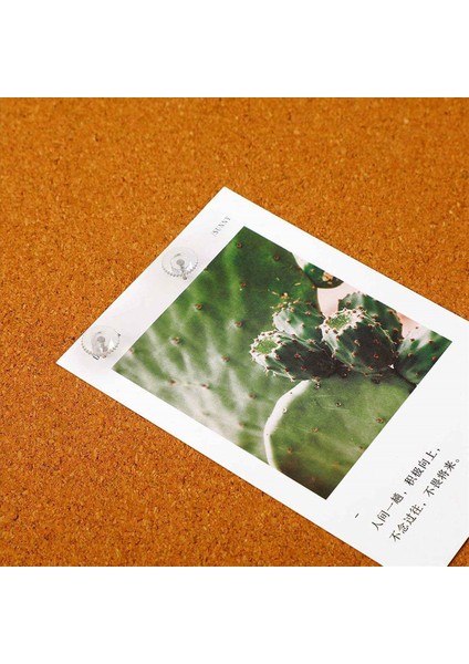 100 Adet Temiz Itme Iğneleri Küçük Plastik Başparmak Çelik Çelik Nokta ve Berrak Plastik Kafa Pushpins Tahtası (Yurt Dışından) fırsatları