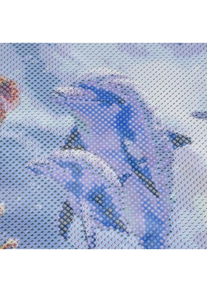 5d Dıy Elmas Boyama Yunuslar Hayvan Tam Yuvarlak Elmas Nakış Çapraz Dikiş Elmas Kristal Duvar Boyama (Yurt Dışından)