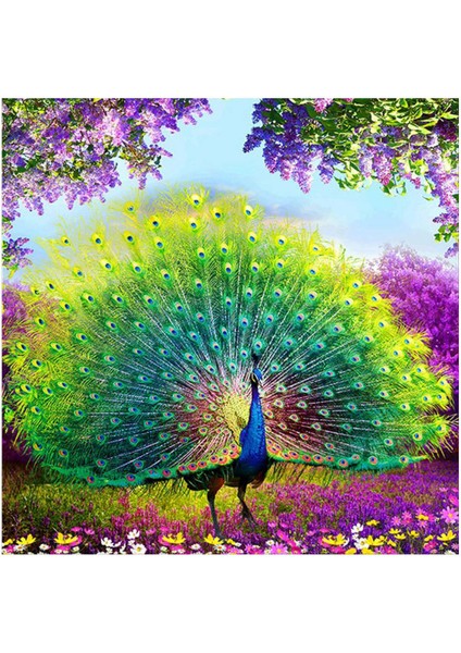Dıy Boyama Elmas Nakış Yuvarlak Reçine Elmas Çapraz Dikiş Ev Duvar Dekoru 30X30CM Peacock (Yurt Dışından)