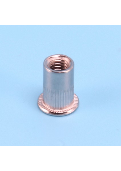 100 Pcs 304 Paslanmaz Çelik Perçin Somun Rivnut Ekleme Nutsert M6X15MM (Yurt Dışından) fırsatları