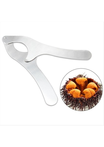 3x Paslanmaz Çelik Deniz Kestanesi Kabuk Kesim Makaslar Emek Kurtaran Deniz Kestanesi Kabuğu Açılış Araçları Makas Mutfak Aletleri (Yurt Dışından) fırsatları