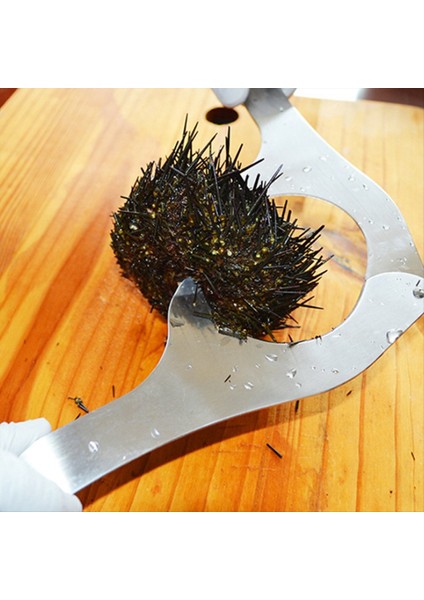 3x Paslanmaz Çelik Deniz Kestanesi Kabuk Kesim Makaslar Emek Kurtaran Deniz Kestanesi Kabuğu Açılış Araçları Makas Mutfak Aletleri (Yurt Dışından) indirimleri