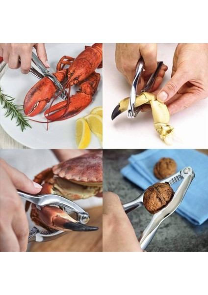 32 Parça Deniz Ürünleri Aracı Kiti Paslanmaz Çelik Yengeç Bacak Krakeri ve Forks Somun Krakeri Set Kabuklu Deniz Ürünleri Sheller (Yurt Dışından) modelleri