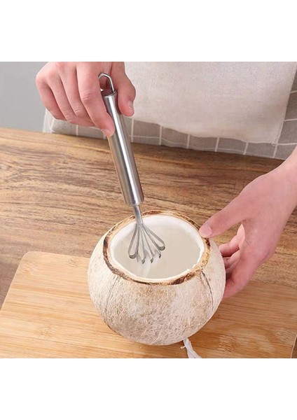 2x Balık Ölçekli Planer Paslanmaz Çelik Hindistan Cevizi Planer Tohum Çıkartma (Yurt Dışından) modelleri