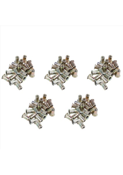 100PCS Düz Kafa Metrik Çelik M5 Perçin Somunu Takma (Yurt Dışından)