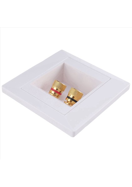 2 Jack Hoparlör Beyaz ile 8x Duvar Soketi Bağlantı Bağlantı Noktası (Yurt Dışından) fiyatları