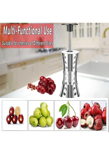 Taşınabilir Kiraz Pitter Çıkma Aracı 304 Paslanmaz Çelik Mutfak Aleti Kiraz Jam Pres Türü Için Gümüş Meyve Çukuru Çıkartma (Yurt Dışından) modelleri