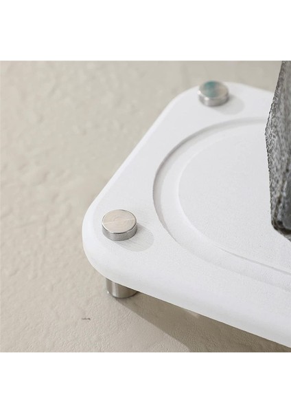 Ana Sayfa Kutusu Anında Kuru Mutfak Banyo Lavabo Organizatör Diyatomlu Toprak Lavabo Tepsisi Ev Beyaz (Yurt Dışından) fiyatları