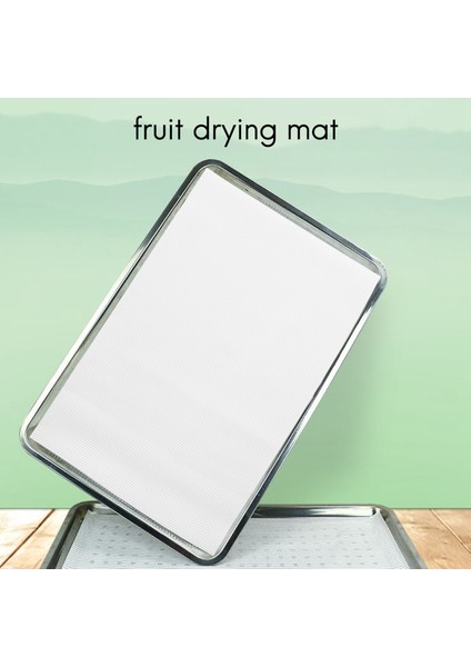 10 Adet Premium Sopa Silikon Silikon Kurutucu Tabakaları Meyve Kurutma Makinesi Ağ 37X29CM (Yurt Dışından) modelleri