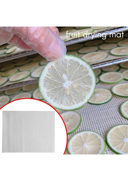 10 Adet Premium Sopa Silikon Silikon Kurutucu Tabakaları Meyve Kurutma Makinesi Ağ 37X29CM (Yurt Dışından) indirimleri