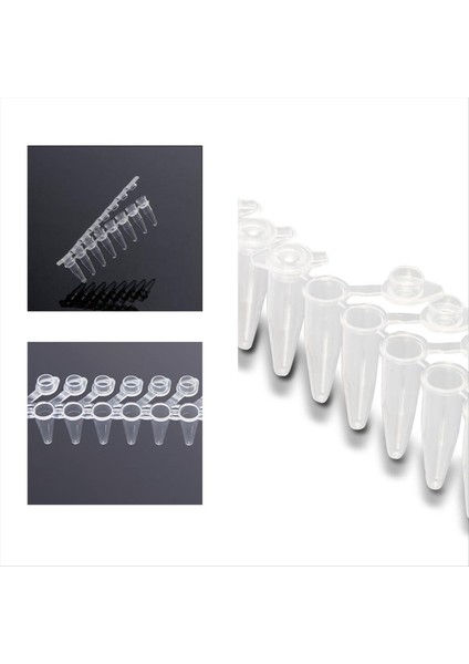 Pcr Tüpleri-0 2ml Pcr Tüpleri Ince Duvar 8 Şeritli Pcr Tüpleri Yüzlenmiş Düz Kapaklara Sahip (125 Şerit/kutu) (Yurt Dışından) modelleri