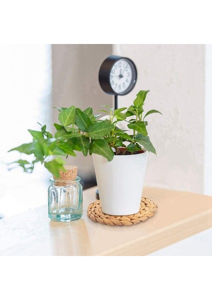 Seagrass Coasters Dayanıklı El Yapımı Su Sümbül Coaster Seti 12 Adet Içecekler Için Seagrass Coaster (Yurt Dışından) indirimleri