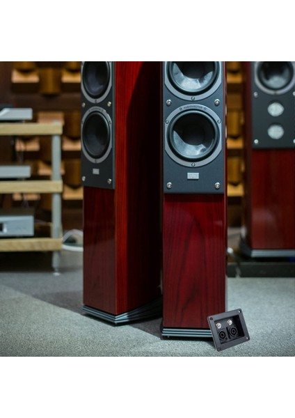 Hoparlör Arka Kablolama Kartı Hoparlör Kablo Hoparlörleri Kablo Kurulu Ses Çok Fonksiyonlu Kablolama Kartı Kablosu ve Kablosu 5 Pcs (Yurt Dışından) indirimleri