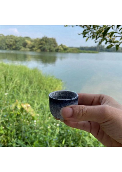 3 Set Set Zarif Japon Tarzı Seramik Sake Sake Pot Retro Sake Set Japon Retro Basit Seramik Sake Cup ve Pot (Yurt Dışından) fiyatları