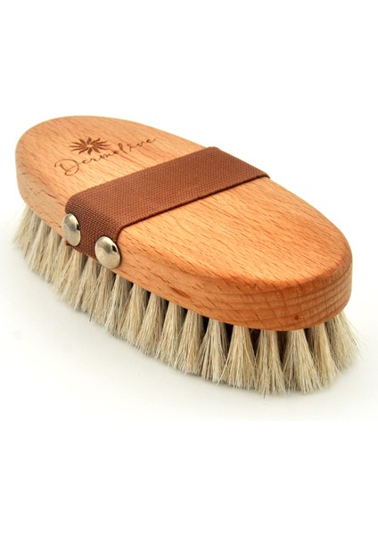 At Kılı Selülit Masaj Fırçası Peeling Fırça %100 Doğal Gerçek At Kılı