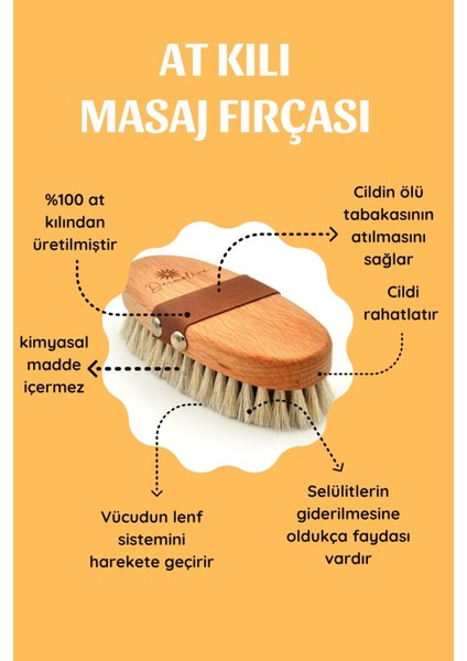At Kılı Selülit Masaj Fırçası Peeling Fırça %100 Doğal Gerçek At Kılı indirimleri