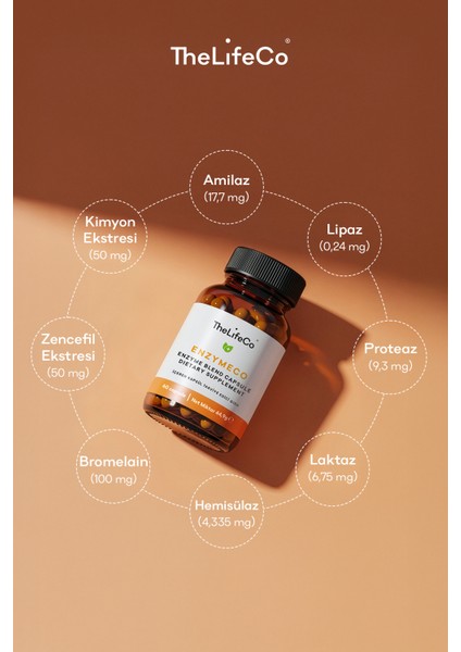 Enzymeco 60 Kapsül fiyatları