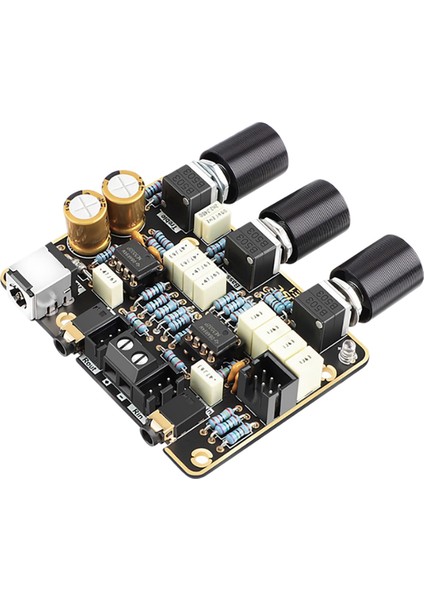 NE5532 Preamp Tone Ses Kayıt Hıfı Aktif Filtre Güç Amplifikatör Kartı (Yurt Dışından)