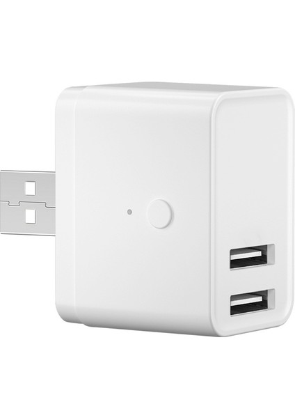Tuya Smart Zigbee USB Adaptör Anahtarı 5V Mini 2 USB Güç Adaptörü Alexa Google Yandex Alice Için Akıllı Yaşam Kontrolü (Yurt Dışından)