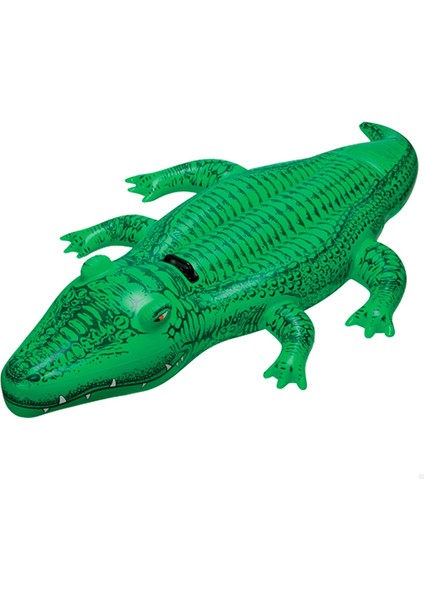 Küçük Timsah Deniz Havuz