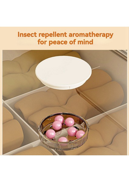 Iç Çamaşırı ve Çorap Organizatör Depolama Kutusu Için Büyük Kapasiteli Toz Geçirmez Depolama Kutusu Kapaklı On Hücreli Bir Kutu (Yurt Dışından) indirimleri