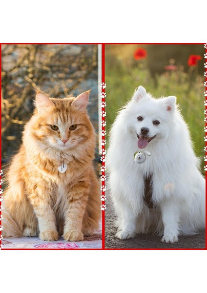 30PCS Gravable Metal Anahtarlık Boşlukları Metal Damgalama Boşlukları Graving Paslanmaz Çelik Boş Anahtar Yüzük Etiketleri Delikli (Yurt Dışından) modelleri