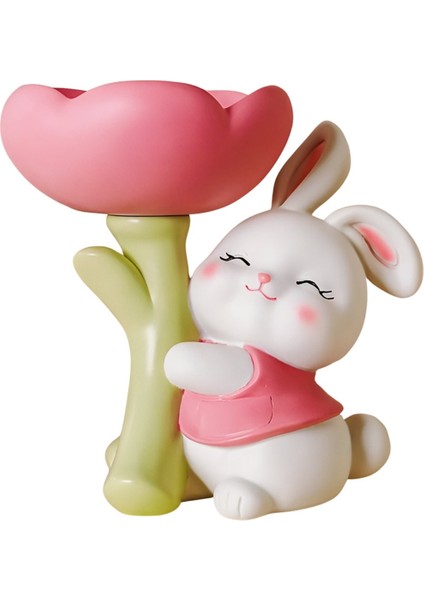 Şanslı Dekorasyon Şanslı Depolama Raf Tepsi Depolama Rafı Ev Dekorasyon Aksesuarları Pembe (Yurt Dışından)