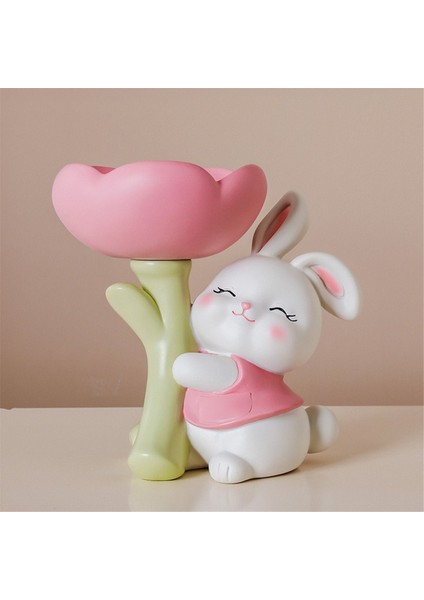 Şanslı Dekorasyon Şanslı Depolama Raf Tepsi Depolama Rafı Ev Dekorasyon Aksesuarları Pembe (Yurt Dışından) fırsatları