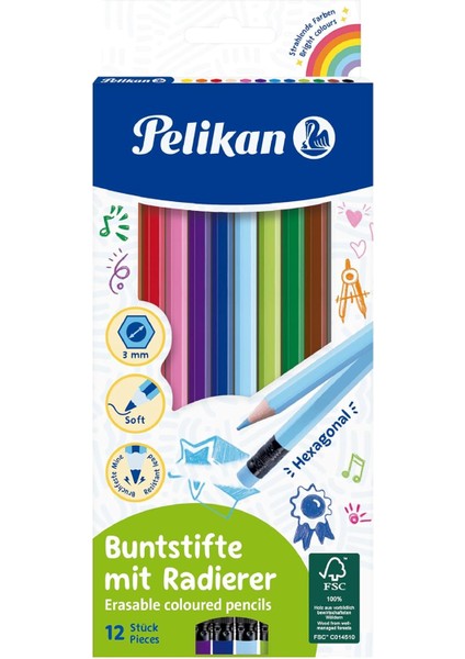 Silgili Kuru 12LI Kutu