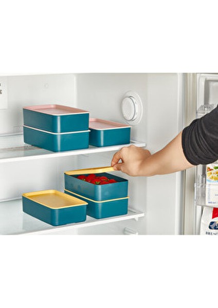 İki Katlı Beslenme Kabı Sarı Kapaklı Ergonomik Tasarım 110 x 187 x 105 cm