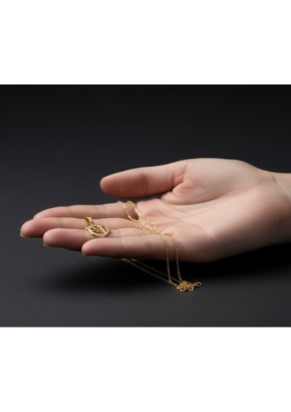 8 Ayar Altın Kolye Ucu D&r GM11051 1 gr fiyatları